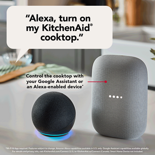 KCIT736S Voice Control