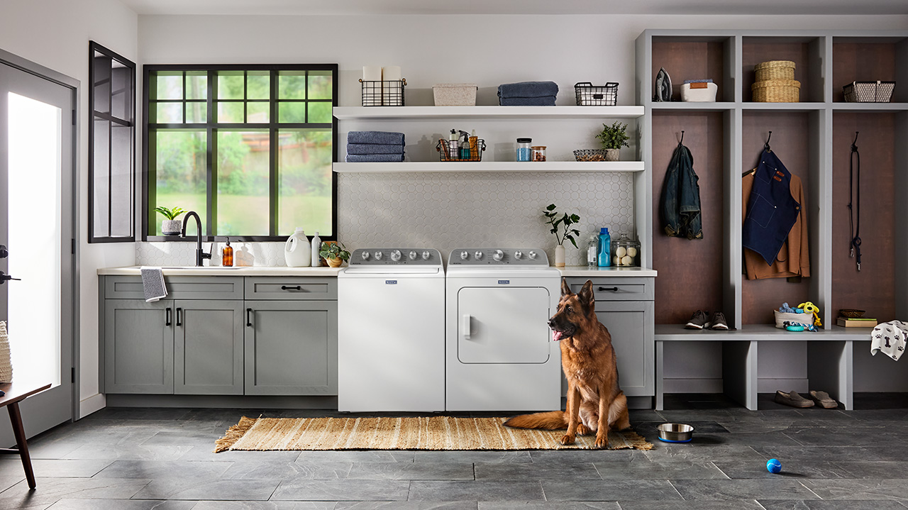 Dog Laundry