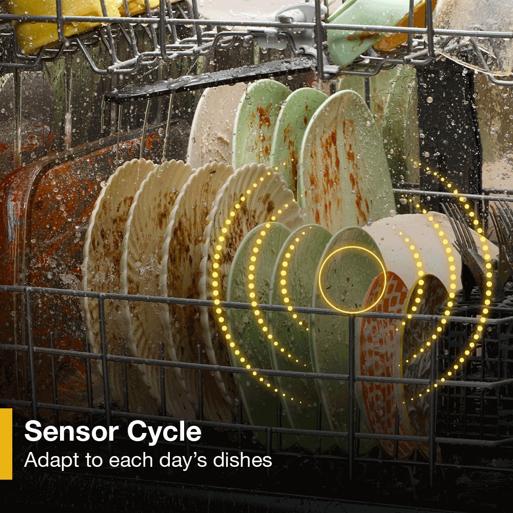 WDT745S Sensor Cycle