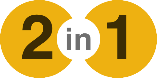2 in 1